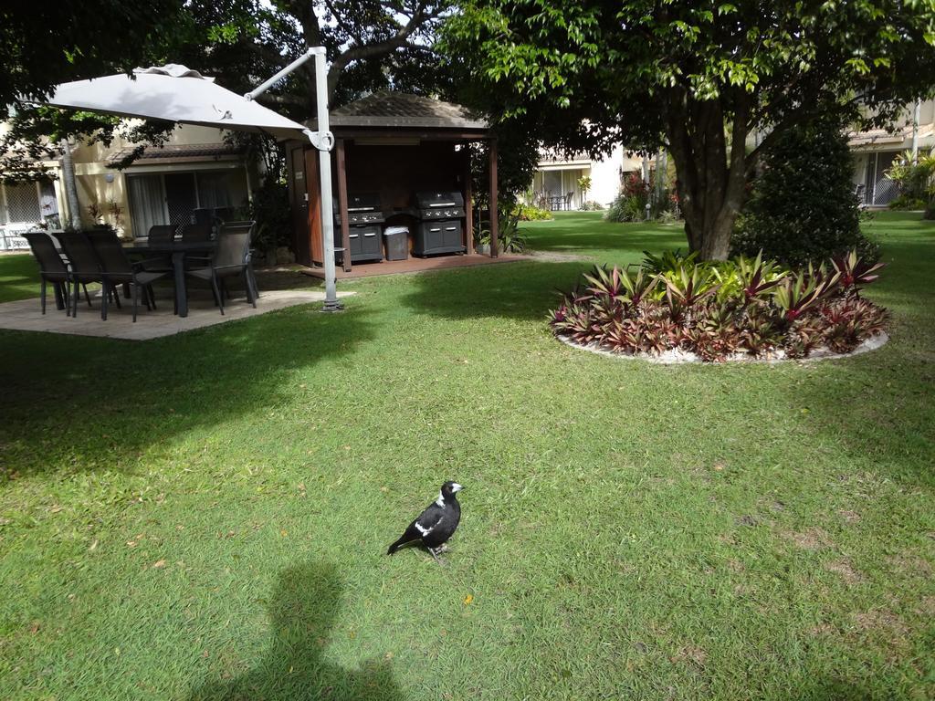 Noosa Gardens Riverside Resort Noosaville Zimmer foto